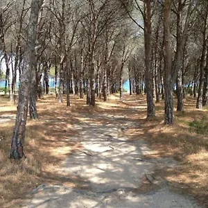 Berna Budoni